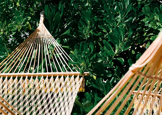 Hammock Garden